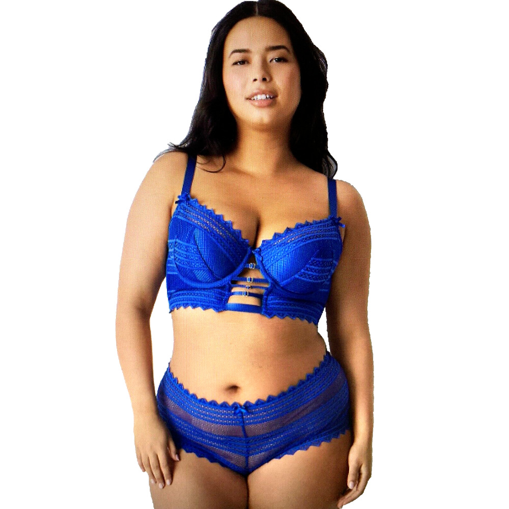 NWT Lane Bryant Royal Blue Sheer Striped Stretch Cheeky Panties in Size 1X 18 20